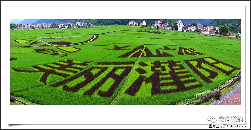 【春天，广西桂林灌阳县向您发出邀请！】开篇 - 游山玩水 - 天水生活社区 - 天水28生活网 tianshui.28life.com