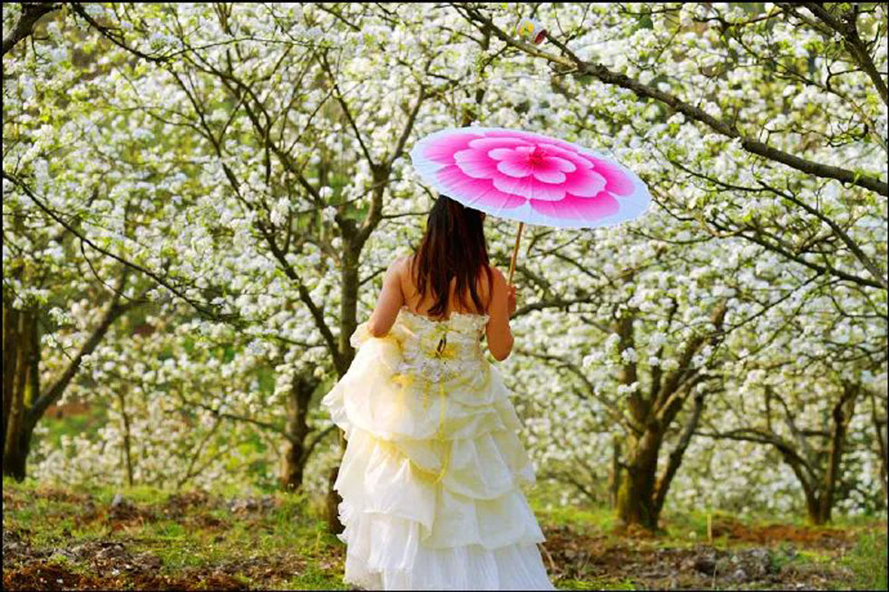 【春天,广西桂林灌阳县向您发出邀请!】我们在灌阳看梨花 - 游山玩水 - 天水生活社区 - 天水28生活网 tianshui.28life.com