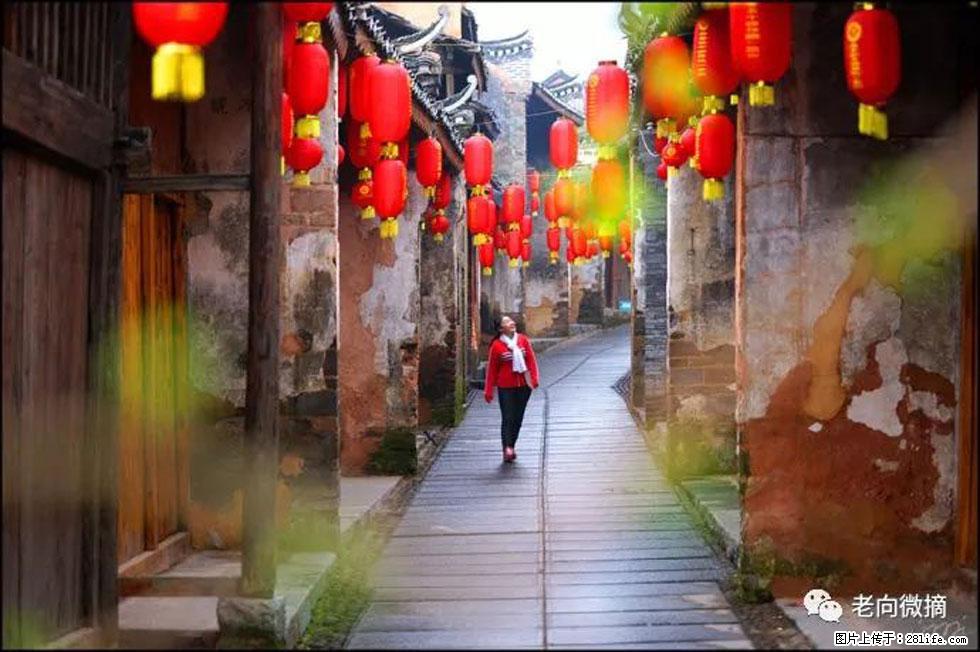 【春天,广西桂林灌阳县向您发出邀请!】江口老街又逢春 - 游山玩水 - 天水生活社区 - 天水28生活网 tianshui.28life.com