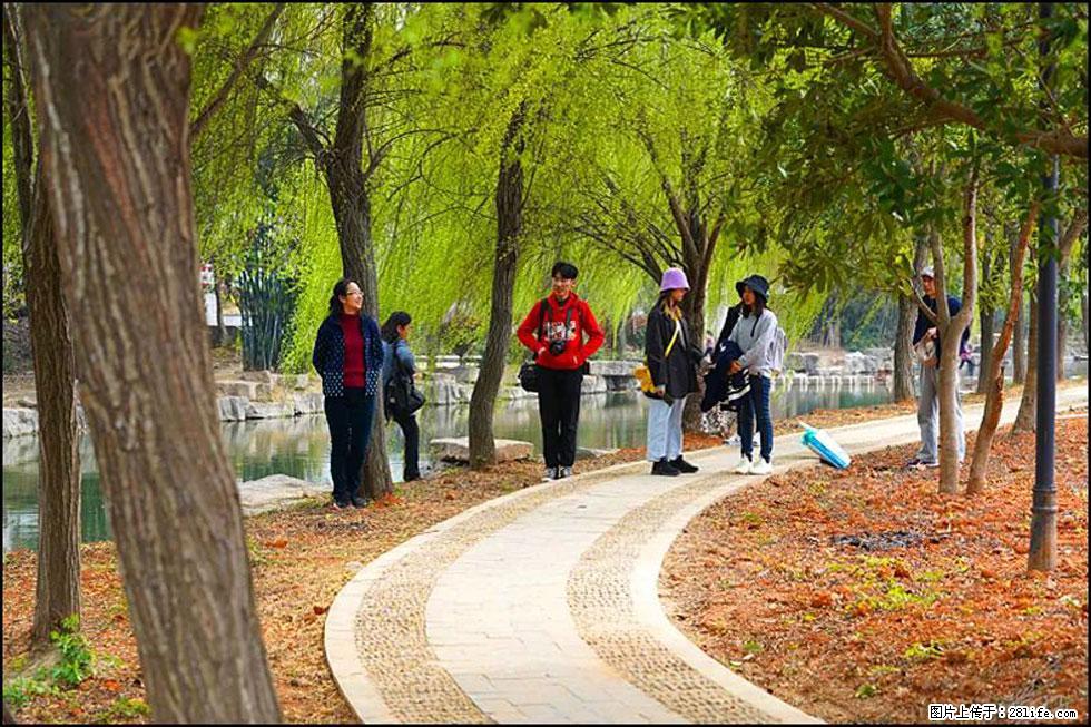 【春天,广西桂林灌阳县向您发出邀请!】江口老街又逢春 - 游山玩水 - 天水生活社区 - 天水28生活网 tianshui.28life.com