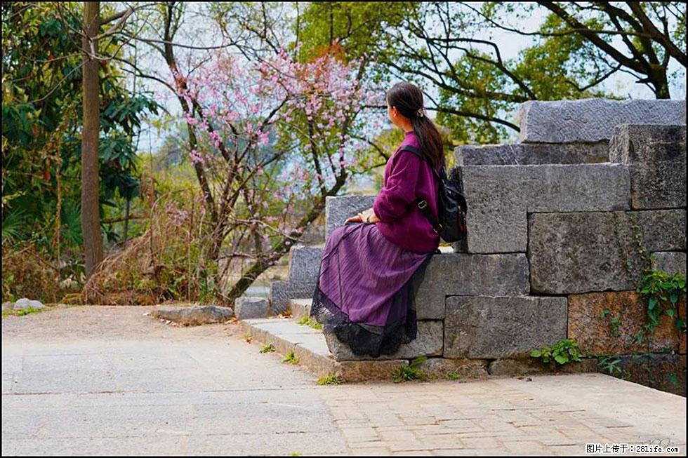 【春天,广西桂林灌阳县向您发出邀请!】江口老街又逢春 - 游山玩水 - 天水生活社区 - 天水28生活网 tianshui.28life.com