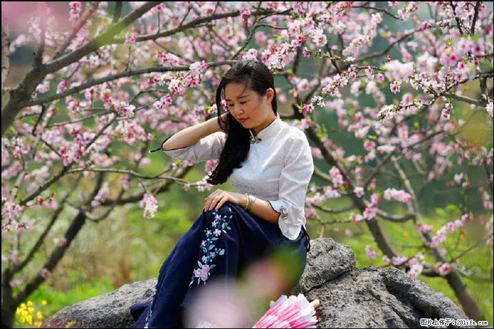 【春天，广西桂林灌阳县向您发出邀请！】望月岭上桃花开 - 游山玩水 - 天水生活社区 - 天水28生活网 tianshui.28life.com