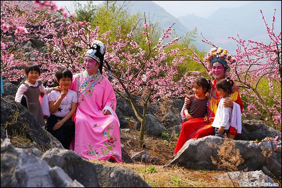 【春天，广西桂林灌阳县向您发出邀请！】望月岭上桃花开 - 游山玩水 - 天水生活社区 - 天水28生活网 tianshui.28life.com