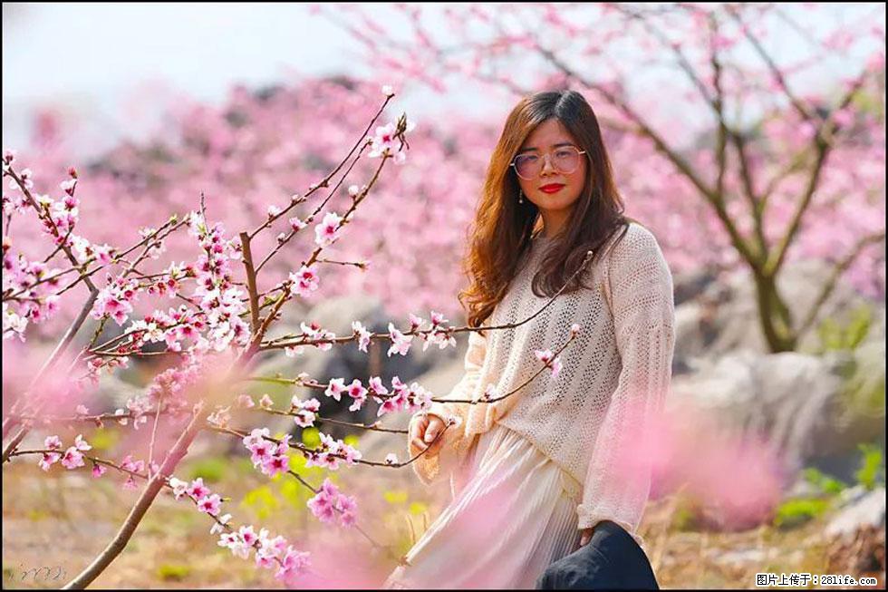 【春天，广西桂林灌阳县向您发出邀请！】望月岭上桃花开 - 游山玩水 - 天水生活社区 - 天水28生活网 tianshui.28life.com