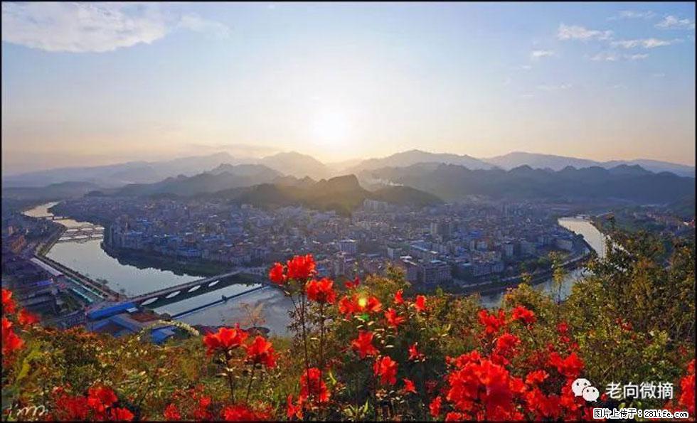 【春天，广西桂林灌阳县向您发出邀请！】登麒麟山，相约映山红 - 游山玩水 - 天水生活社区 - 天水28生活网 tianshui.28life.com