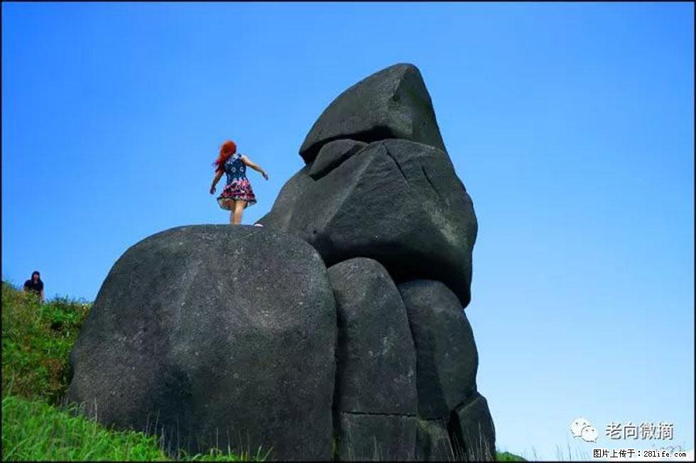 【春天,广西桂林灌阳县向您发出邀请!】宝盖山上映山红 - 游山玩水 - 天水生活社区 - 天水28生活网 tianshui.28life.com