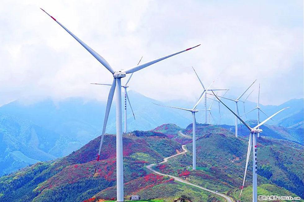 【春天,广西桂林灌阳县向您发出邀请!】春木界上映山红 - 游山玩水 - 天水生活社区 - 天水28生活网 tianshui.28life.com