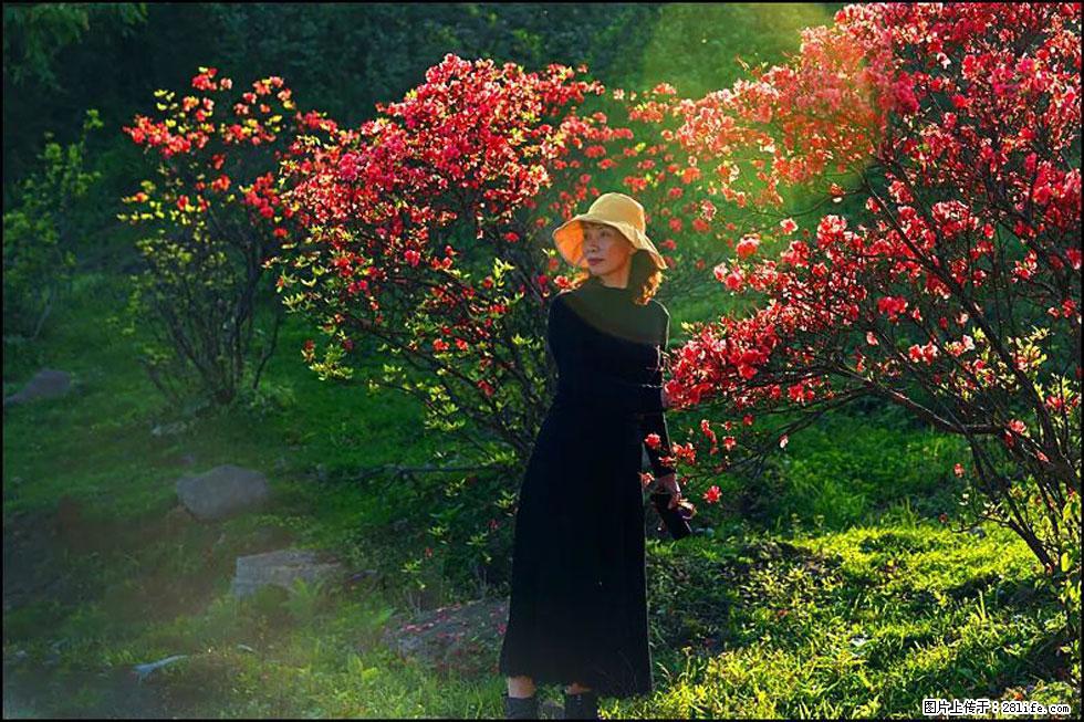 【春天,广西桂林灌阳县向您发出邀请!】春木界上映山红 - 游山玩水 - 天水生活社区 - 天水28生活网 tianshui.28life.com