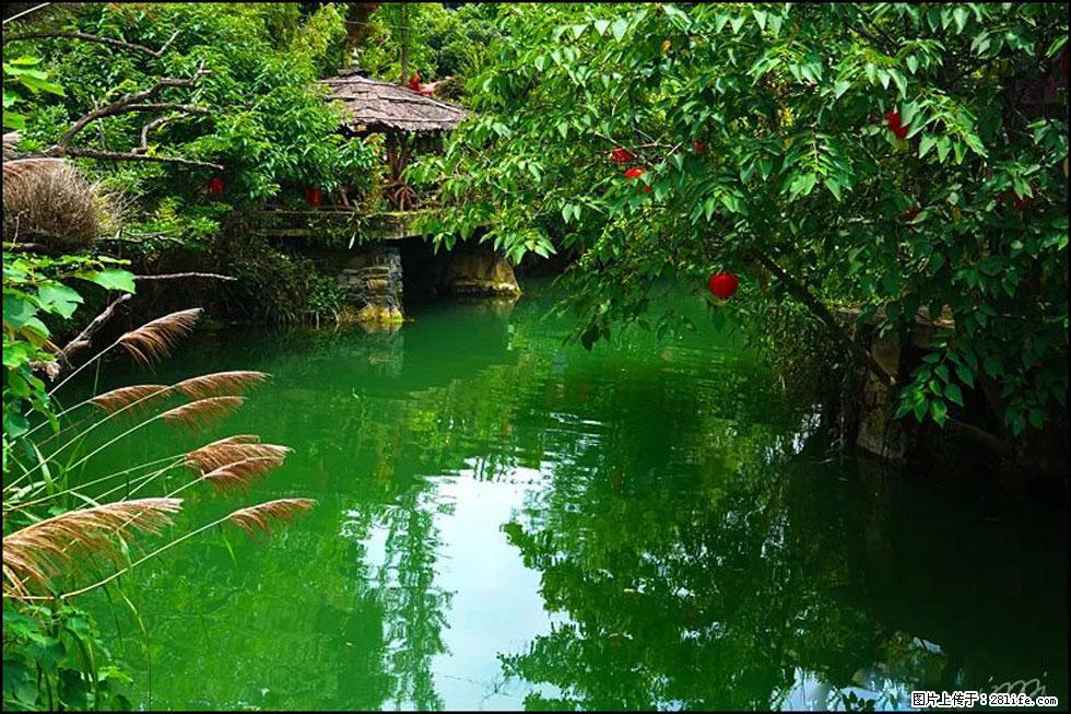 【春天，广西桂林灌阳县向您发出邀请！】如梦似幻莲溪庐 - 游山玩水 - 天水生活社区 - 天水28生活网 tianshui.28life.com