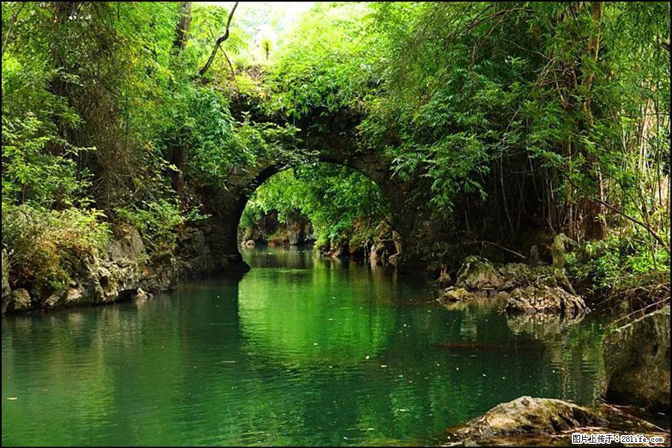 【春天，广西桂林灌阳县向您发出邀请！】如梦似幻莲溪庐 - 游山玩水 - 天水生活社区 - 天水28生活网 tianshui.28life.com