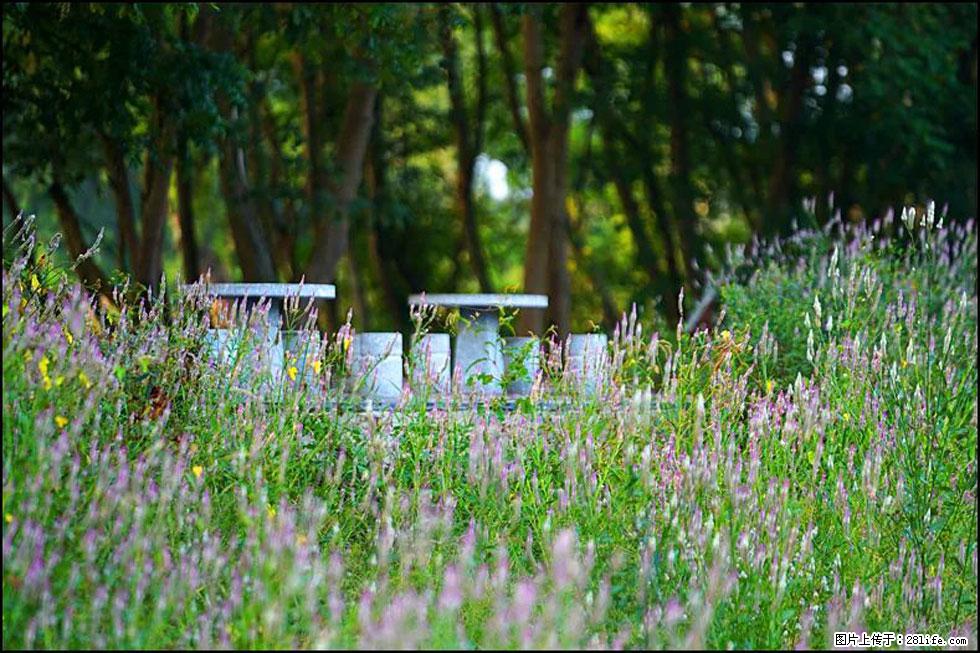 【春天,广西桂林灌阳县向您发出邀请!】熊家寨湿地公园 - 游山玩水 - 天水生活社区 - 天水28生活网 tianshui.28life.com