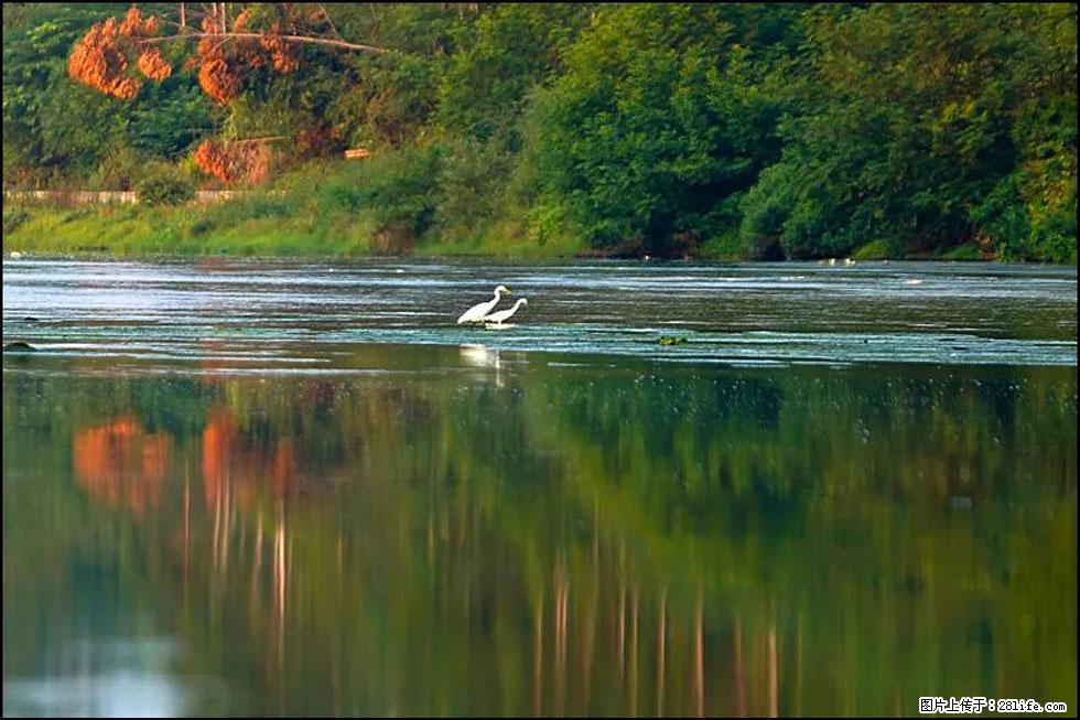 【春天,广西桂林灌阳县向您发出邀请!】熊家寨湿地公园 - 游山玩水 - 天水生活社区 - 天水28生活网 tianshui.28life.com