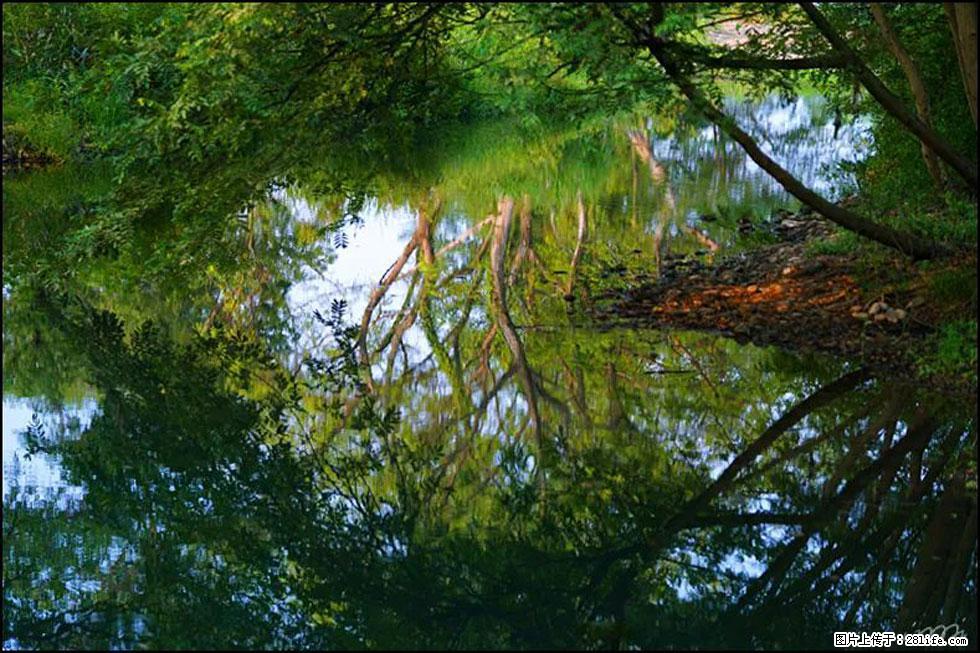 【春天,广西桂林灌阳县向您发出邀请!】熊家寨湿地公园 - 游山玩水 - 天水生活社区 - 天水28生活网 tianshui.28life.com