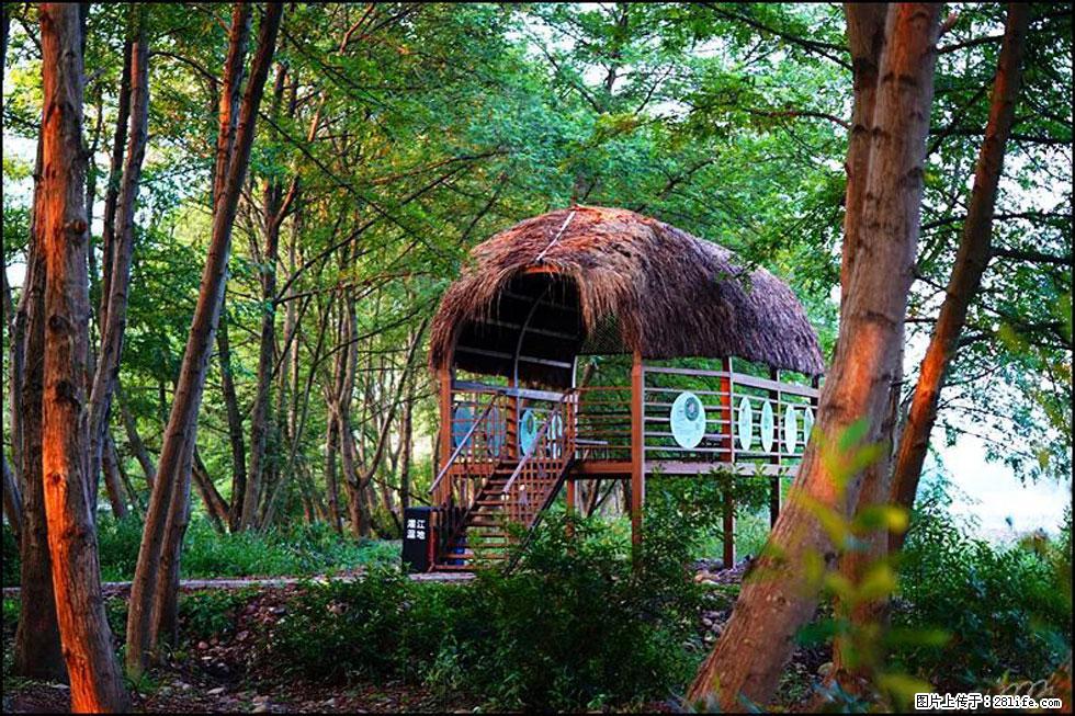 【春天,广西桂林灌阳县向您发出邀请!】熊家寨湿地公园 - 游山玩水 - 天水生活社区 - 天水28生活网 tianshui.28life.com