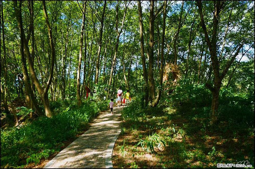 【春天,广西桂林灌阳县向您发出邀请!】熊家寨湿地公园 - 游山玩水 - 天水生活社区 - 天水28生活网 tianshui.28life.com