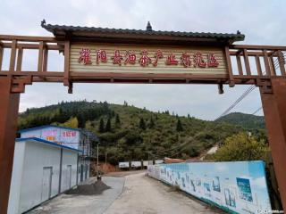 【灌阳县油茶产业示范区】一个有着充实的精神生活的人，对待身外之物自会有一种淡泊的态度 - 天水28生活网 tianshui.28life.com