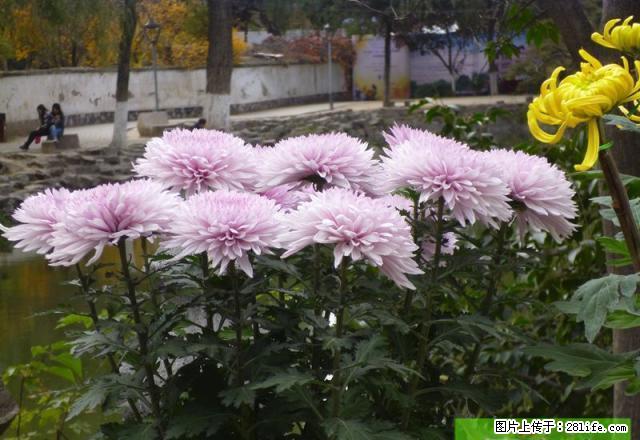 北园子三室一厅简单家具 - 房屋出租 - 房屋租售 - 天水分类信息 - 天水28生活网 tianshui.28life.com