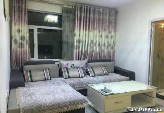 市中心地段，60平米，1室1厅1卫，精装修，拎包入住 - 天水28生活网 tianshui.28life.com