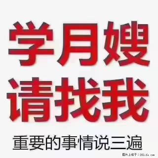 【招聘】月嫂，上海徐汇区 - 天水28生活网 tianshui.28life.com
