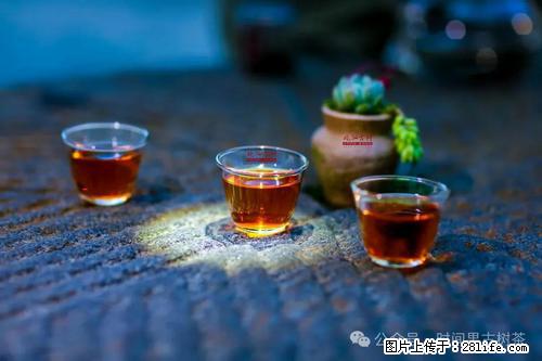 时间果百年古树2025年春红茶 - 购物交流 - 天水生活社区 - 天水28生活网 tianshui.28life.com