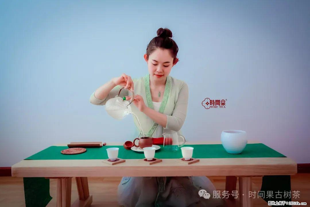 时间果百年古树龙珠普洱生茶 - 购物交流 - 天水生活社区 - 天水28生活网 tianshui.28life.com