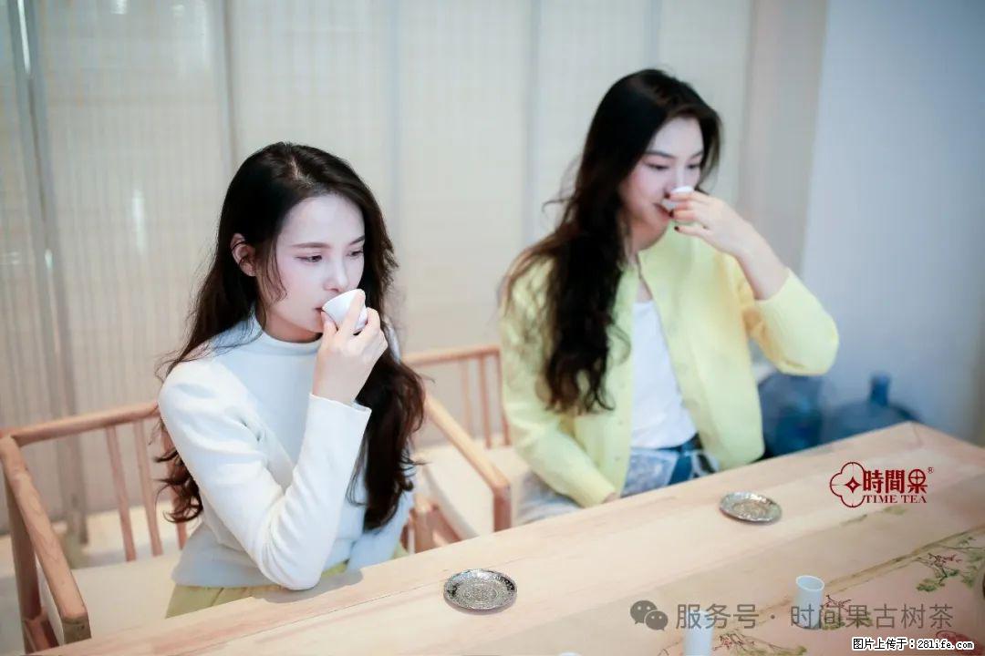 时间果百年古树龙珠普洱生茶 - 购物交流 - 天水生活社区 - 天水28生活网 tianshui.28life.com