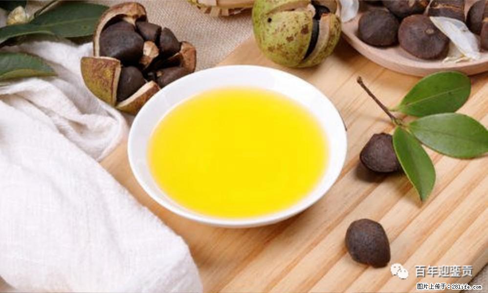 揭秘茶油的5大核心营养成分！被称为人体健康的“守护盾”！ - 天水生活资讯 - 天水28生活网 tianshui.28life.com