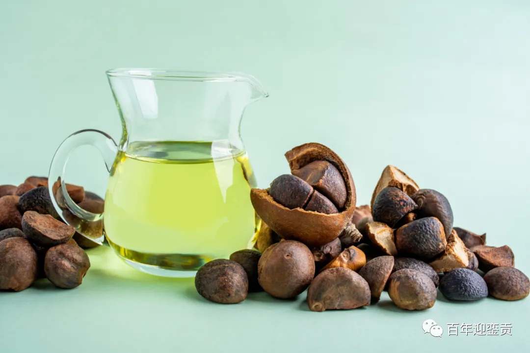 世界没有真相，只有认知，最好的食用油是中国的山茶油！ - 天水生活资讯 - 天水28生活网 tianshui.28life.com