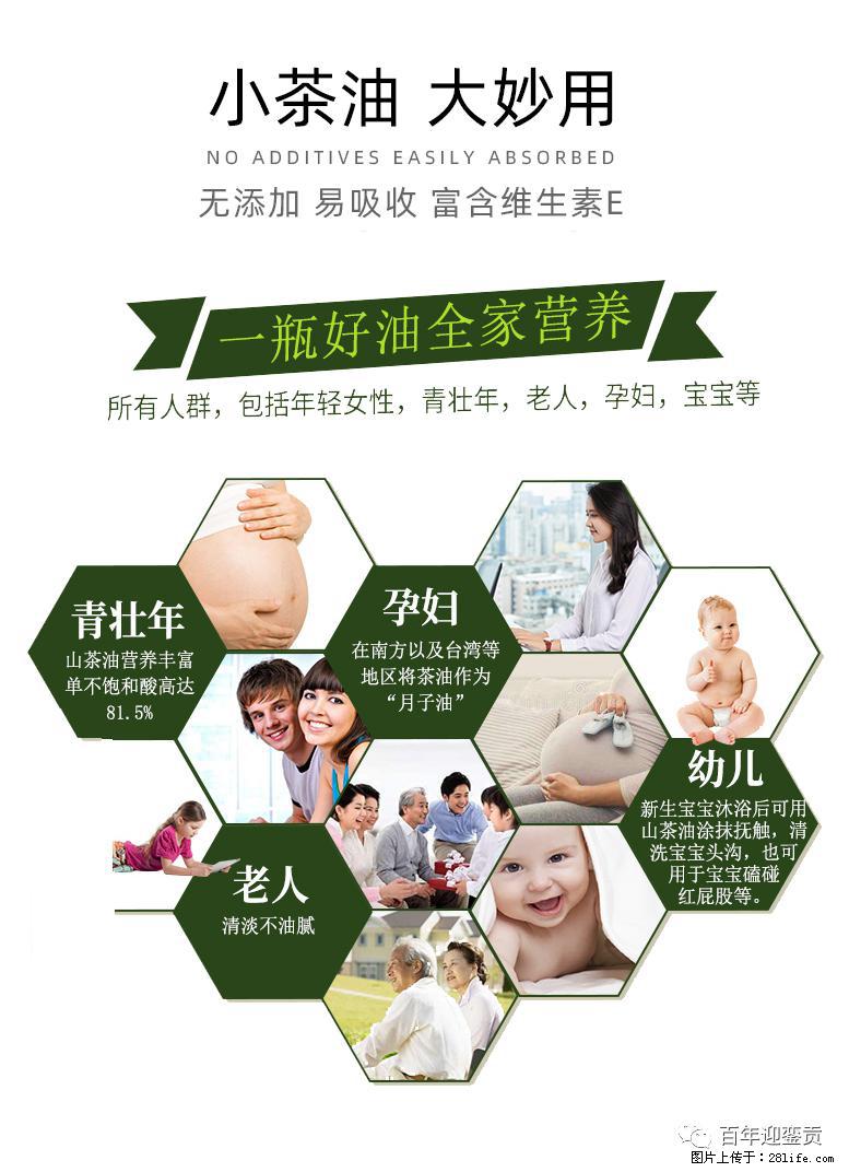 世界没有真相，只有认知，最好的食用油是中国的山茶油！ - 天水生活资讯 - 天水28生活网 tianshui.28life.com