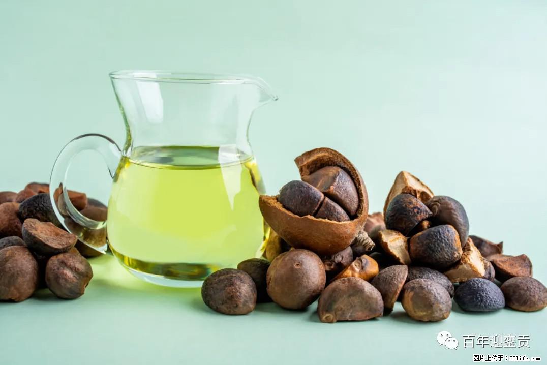 世界没有真相，只有认知，最好的食用油是中国的山茶油！ - 天水生活资讯 - 天水28生活网 tianshui.28life.com