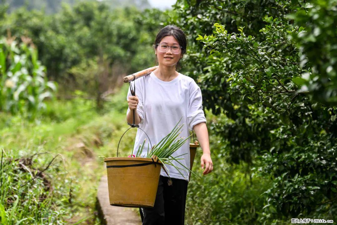 全网追的“扁担女孩”，找了一份暑假工，时薪12元 - 天水生活资讯 - 天水28生活网 tianshui.28life.com