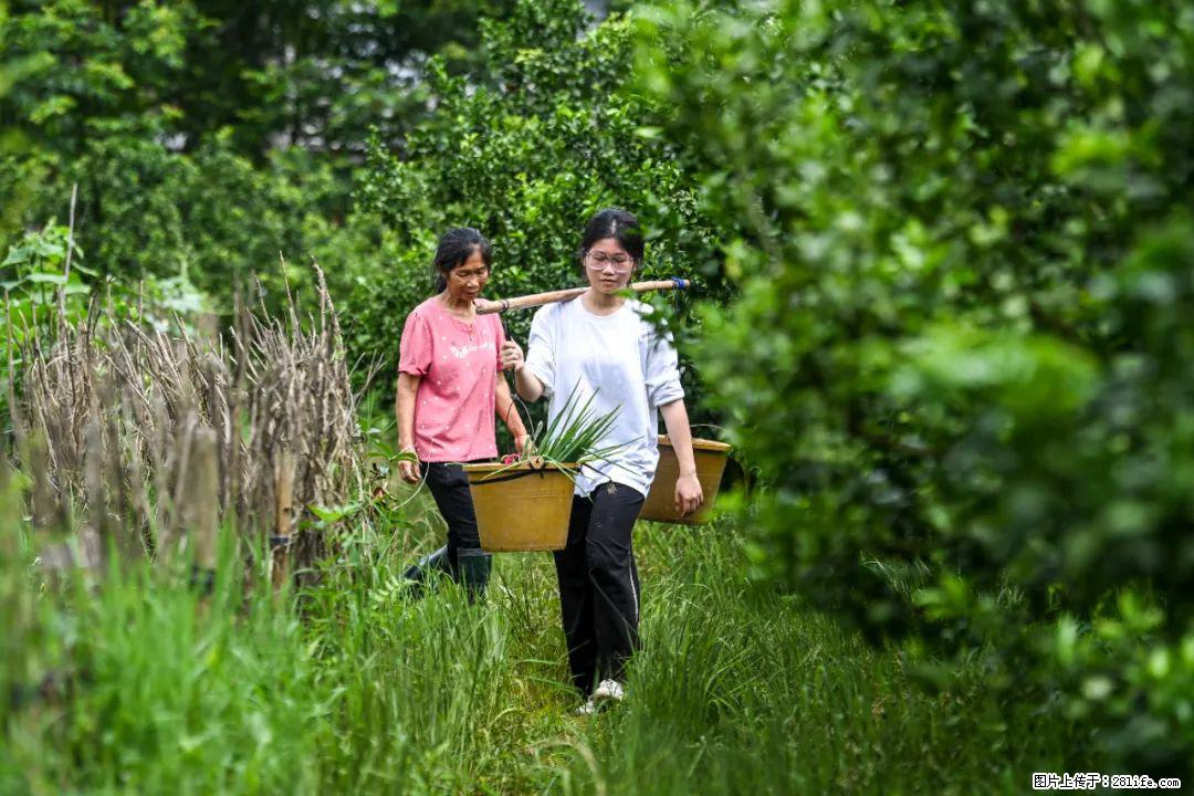 全网追的“扁担女孩”，找了一份暑假工，时薪12元 - 天水生活资讯 - 天水28生活网 tianshui.28life.com