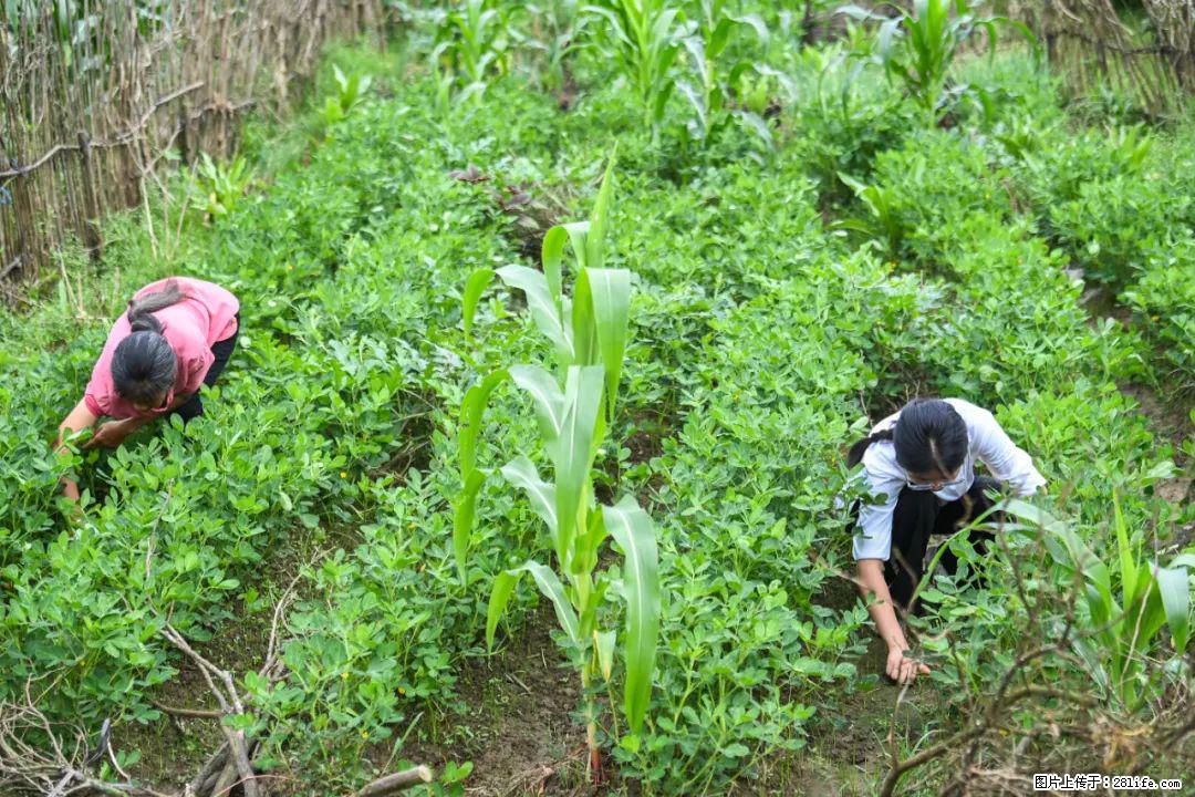 全网追的“扁担女孩”，找了一份暑假工，时薪12元 - 天水生活资讯 - 天水28生活网 tianshui.28life.com
