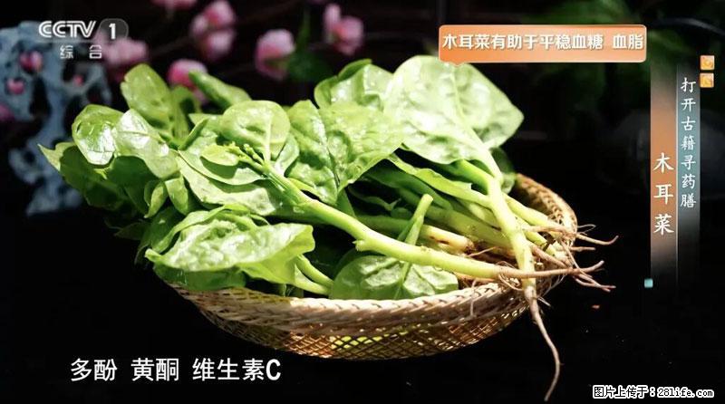 比牛奶补钙还厉害！凉血解毒、稳血糖...这菜冬天必吃，很多人却当草 - 天水生活资讯 - 天水28生活网 tianshui.28life.com