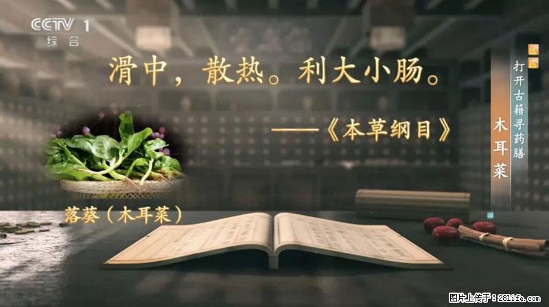 比牛奶补钙还厉害！凉血解毒、稳血糖...这菜冬天必吃，很多人却当草 - 天水生活资讯 - 天水28生活网 tianshui.28life.com