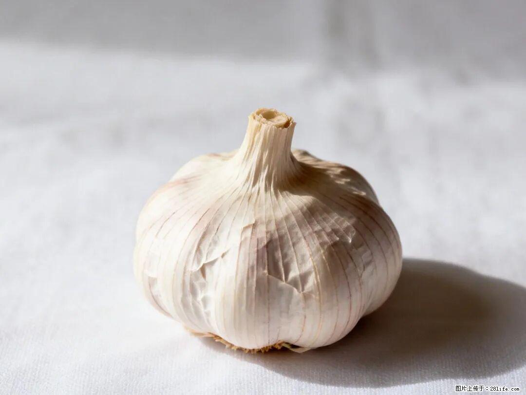 关于大蒜，除了“天然抗生素”，这4个谣言更该警惕! - 天水生活资讯 - 天水28生活网 tianshui.28life.com