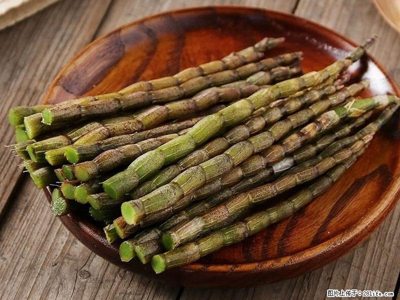 铁皮石斛的作用与功能主治 - 天水生活资讯 - 天水28生活网 tianshui.28life.com