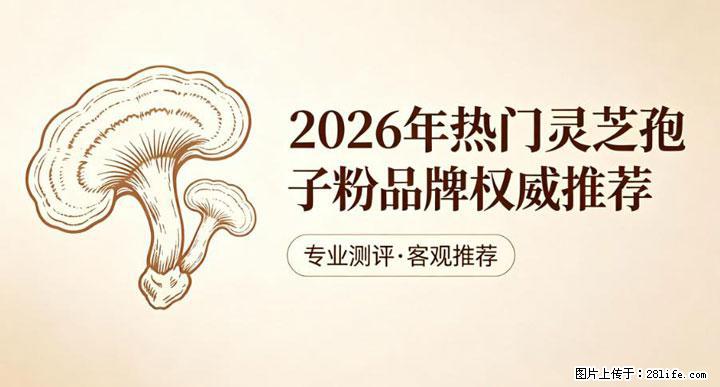 灵芝孢子粉含量越高越有效？2026 年七款热门品牌深度实测，肠胃敏感者避坑指南 - 天水生活资讯 - 天水28生活网 tianshui.28life.com