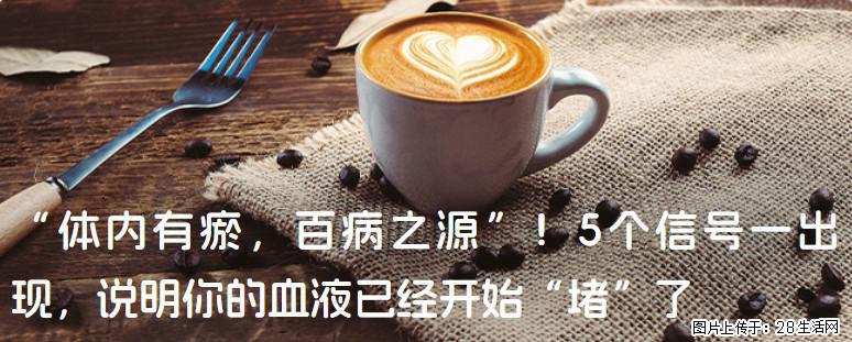 “体内有瘀，百病之源”！5个信号一出现，说明你的血液已经开始“堵”了 - 天水生活资讯 - 天水28生活网 tianshui.28life.com